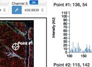 mass spectrometry data visualized as image plus scpectra.