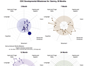 Screen shot of radar graphs