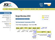 Screen shot of process flow diagrams