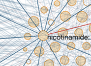 network diagram of microbes linked to metabolites that
          they uptake or release